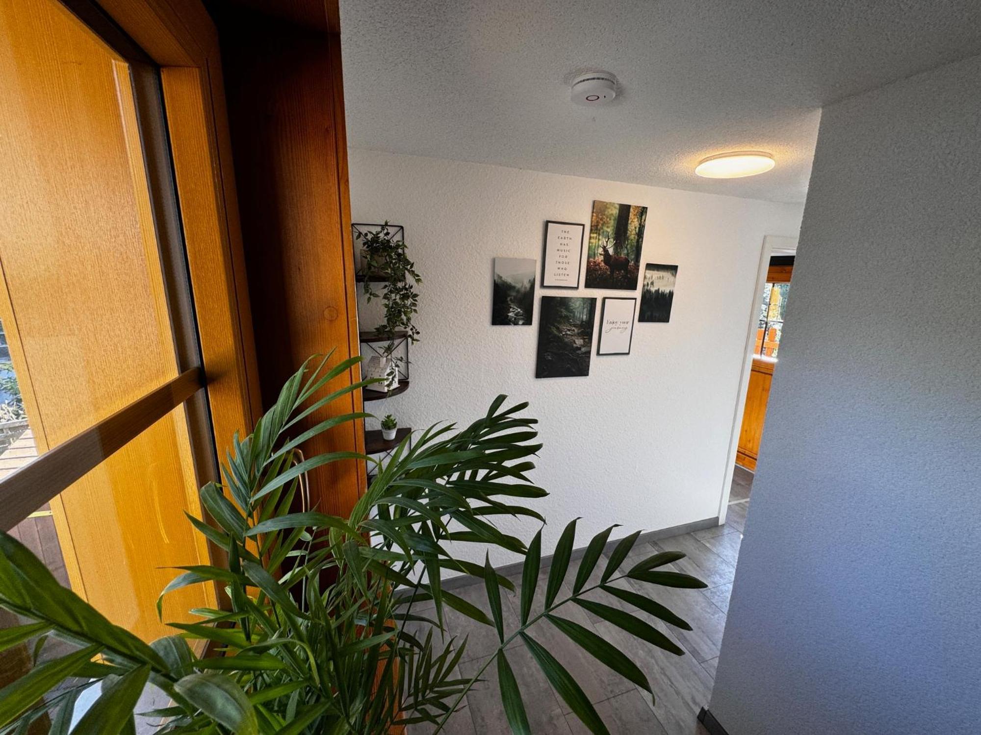 Villa Hexenhaus à Clausthal-Zellerfeld Extérieur photo