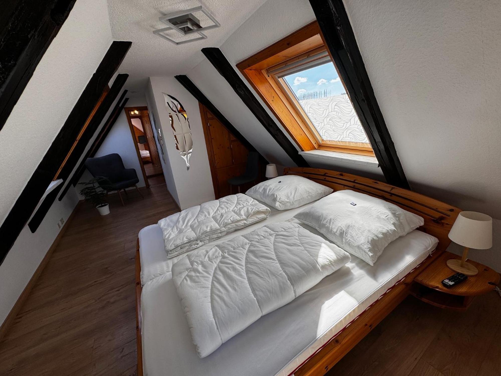 Villa Hexenhaus à Clausthal-Zellerfeld Extérieur photo